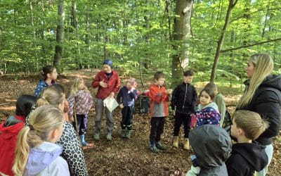 Waldtag der Klasse 2