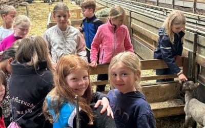 Lämmer, Katzen und ganz viel Spaß! – Die 3. Klasse zu Besuch auf dem Schäferhof der Familie Fritz