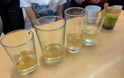 Experimentieren mit Wasser – Spannende Erkenntnisse der 3. Klasse